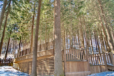 언제 가도 좋은 숲, 맑은 공기 마시며 걸어볼까