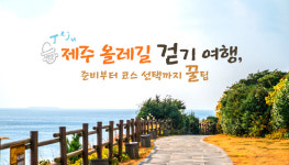 제주 올레길 걷기 여행, 준비부터 코스 선택까지 꿀팁