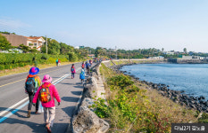 제주 올레길 걷기 여행, 준비부터 코스 선택까지 꿀팁