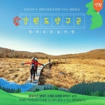 1박 2일로 떠나는 가을 맛집 숲여행 코스