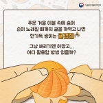 버릴 것 하나 없는 귤껍질 활용법 3