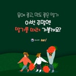 ‘새콤달콤’ 딸기 수확 체험