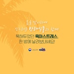 내 맘을 위로해 줄 반려식물로 스트레스 날리기