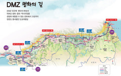 ‘DMZ 평화의 길’ 올해 7개 노선 추가 개방…140억 투자
