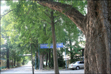 [기획]지켜야 할 역사·유물들