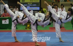수원 코리아오픈 국제태권도대회 이모저모
