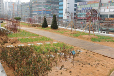 오산시청 옥상정원 ‘인기 만점’