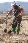 [포토] 봄 ‘성큼’¨ 농사준비 “바쁘다 바빠”