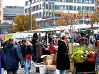 구조조정 촉진하고 시장을 사랑한 진보
