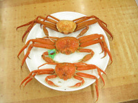 군침 고이는 대게 찾아 강구항에 가니