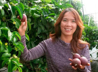 ‘한국산’이 더 맛있는 열대 과일