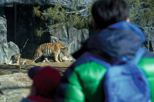제돌이 친구들도 잘 지내고 있어요