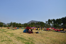 캠핑 정책에 대한 제 점수는요…