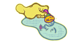 나의 두 번째 인감도장