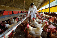 친환경 인증을 왜 반납하려 할까?