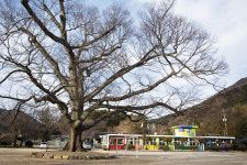 농촌에서 사회적 경제를 만나다