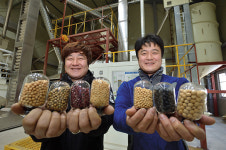 농촌에서 사회적 경제를 만나다