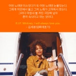 [카드뉴스] 휘트니, 언제나 사랑할게요