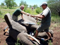 2019년 대한민국 ‘고롱고사’는 어디인가