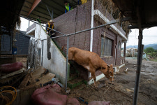 불난 끝은 있어도 물 난 끝은 없다