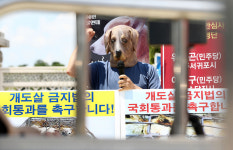 동물법 개정됐지만 거북이는 보호받지 못한다