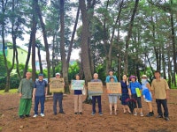 아스팔트 도로로 서귀포 100년 솔숲 덮는다고? [전국 인사이드]