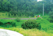 ‘걸으며 밥을 나누는 축복의 길’