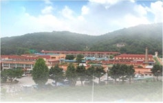 김천소년교도소, 실탄 장전된 권총 분실