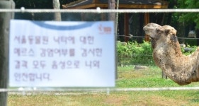 농림축산식품부 “낙타고기, 국내 유통된 적 없어”
