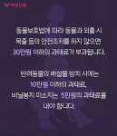 [카드뉴스] 우리 개는 안 물어요