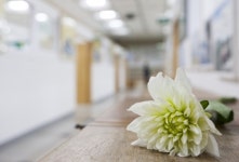 [포토스토리] ‘416 기억교실’...별이 되어 떠난 꽃들