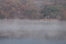 [조현숙의 포토갤러리] 진천 식파정