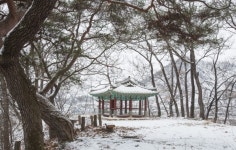 [조현숙의 포토갤러리] 청원 세심정