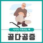 [W건강생활백서] 작은 충격에도 골절... 중년여성 골다공증 주의보