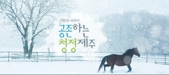 제주도, 양성평등담당관 지정 확대