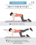 [W건강생활백서] 허리 통증은 홈트 고양이자세 운동법 추천