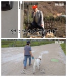 TV동물농장, 관종견 예고편 내놓더니 실제론 장애견... 시청자 농락하나 분노