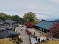 도리사, 아도화상 기리는 헌향제 개최