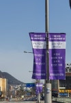 강원 지역 21개 단체, 세계 여성의 날 현수막 게양