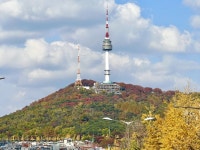 울긋불긋 단풍 절정, 남산 둘레길