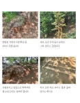 서대문 백련산 맨발길, 생태와 안전 사이…공존 위한 첫걸음