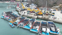 완도는 지금 K-푸드 대표 음식 햇김 채취 한창