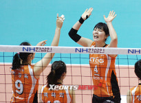 김사니, 해외 진출, 아직 결정된 것 없다