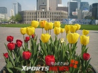 서울광장, 봄맞이 새단장…푸른 문화 휴식공간