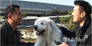 상근이 세 집 살림 국민 애견 알고 보니 바람둥이?