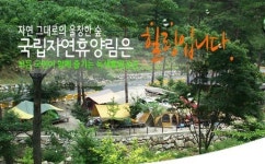 고산-거제 등 유명 자연휴양림, 예약자 몰리며 홈페이지 마비