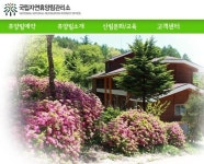 국립자연휴양림, 화창한 날씨 맞아 나들이객에 인기