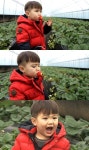오마베 먹방 베이비 태오, 이번엔 딸기 흡입