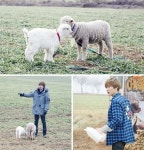 OK목장 은혁, 우유 배달부로 변신…동물들과 완벽 교감