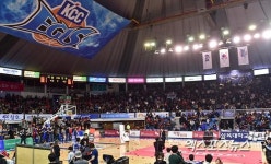 코트로 날아드는 종이비행기[포토]